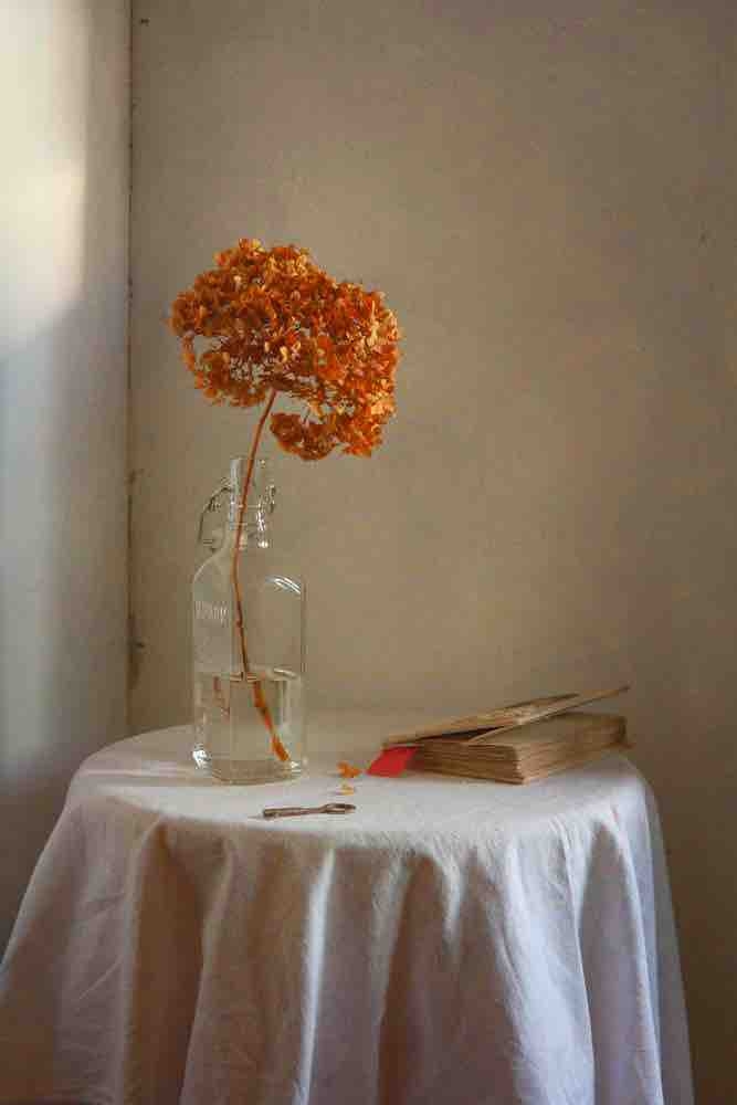 creative