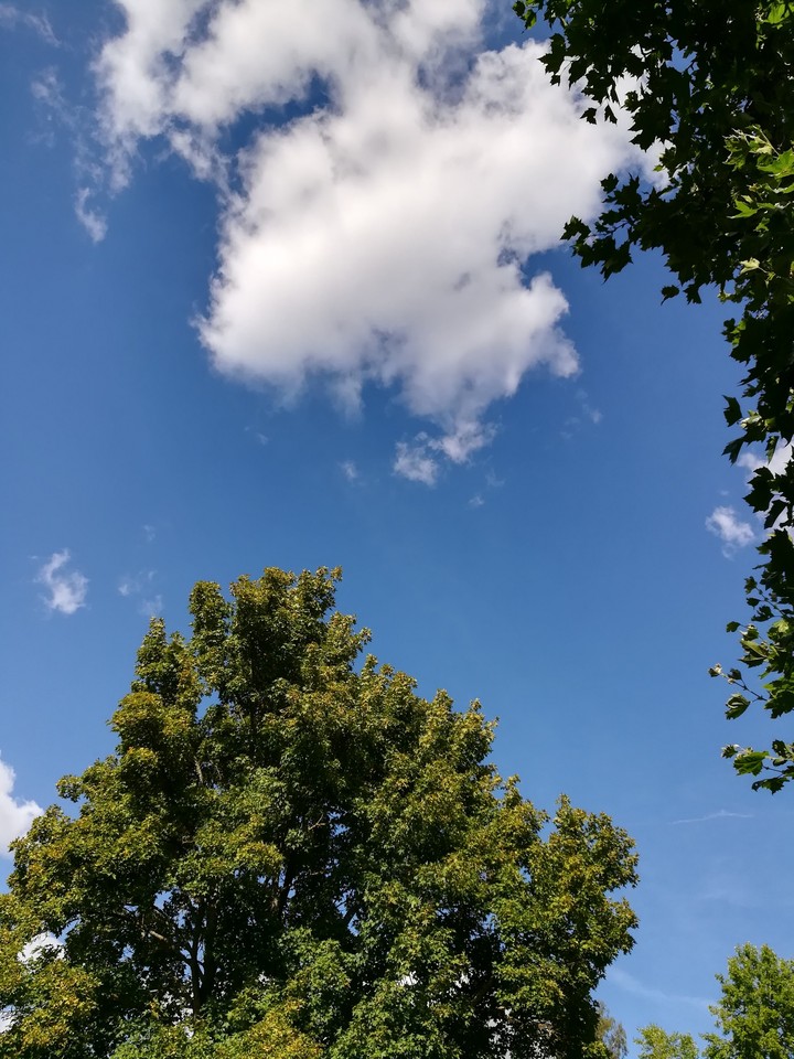 Sky