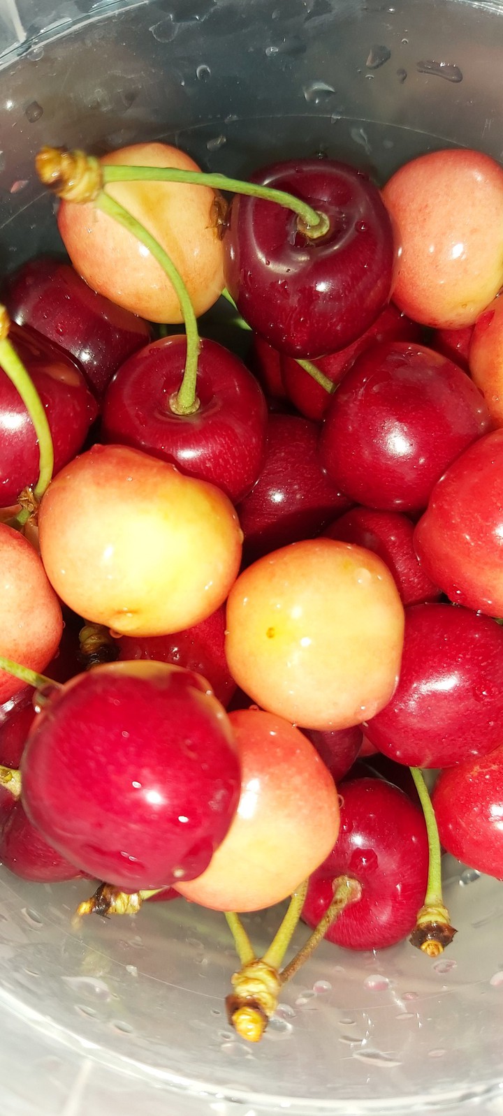 cherry