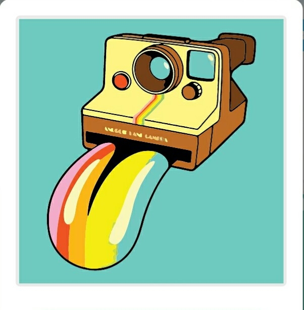 Polaroid