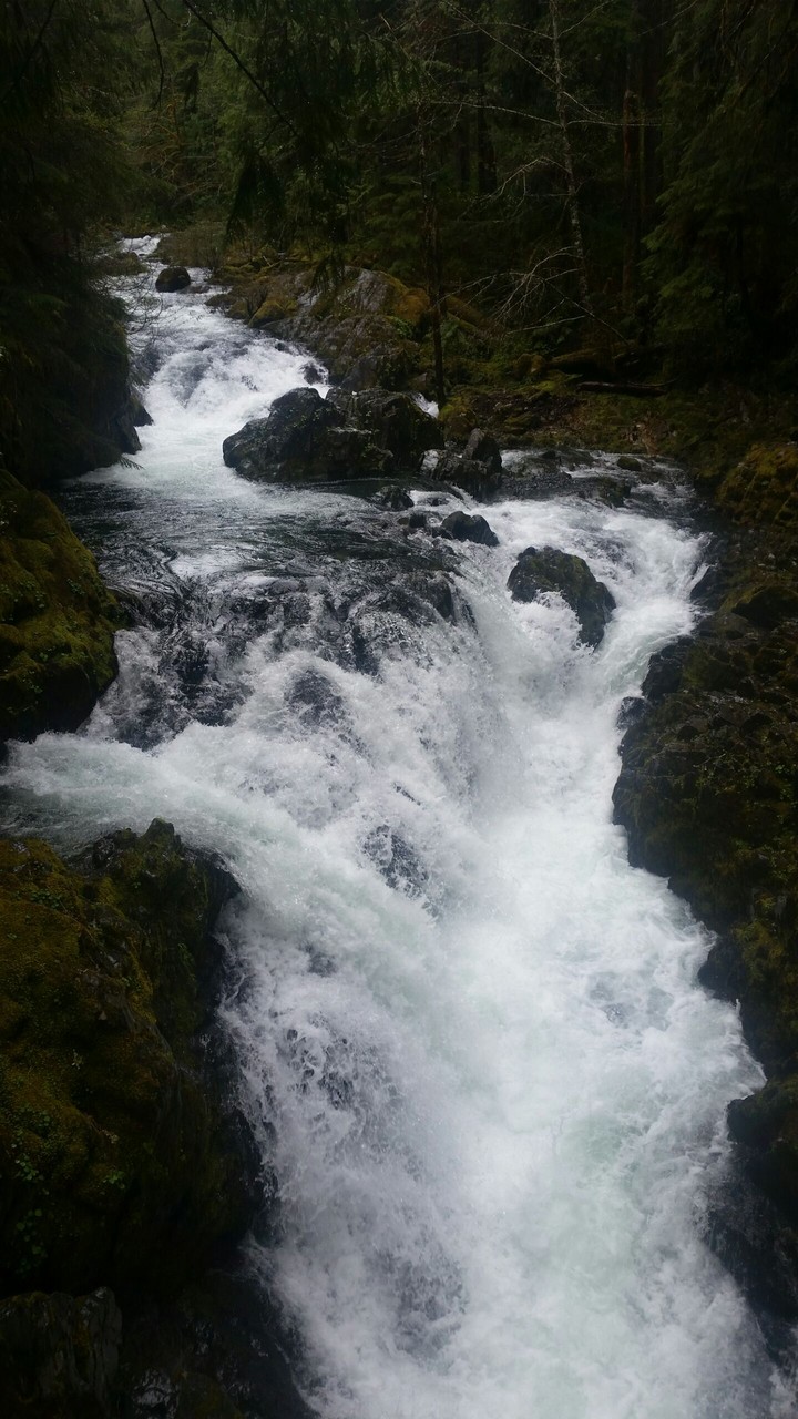 Rapids