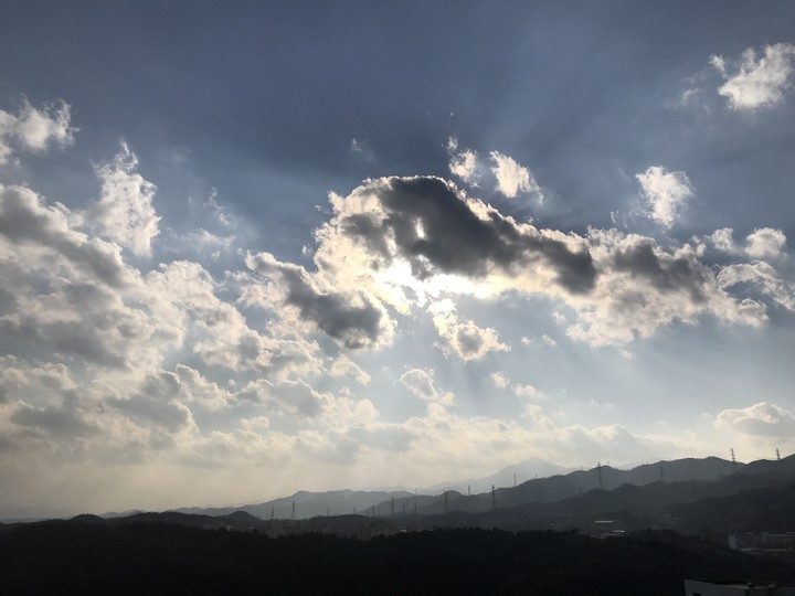 sunlight