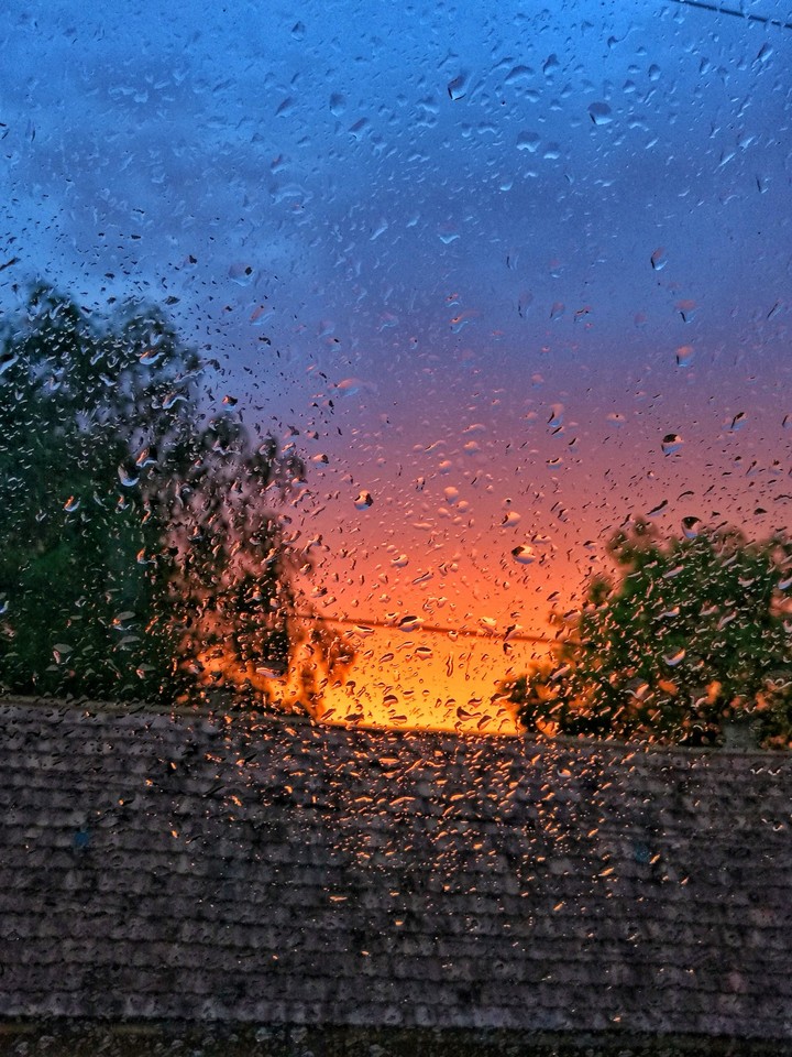 Rain