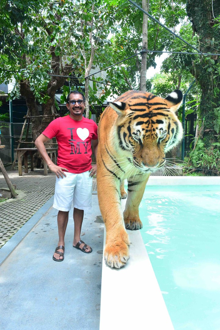 Tiger Park Pattaya