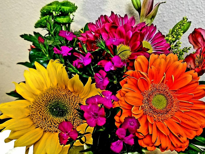 flower
