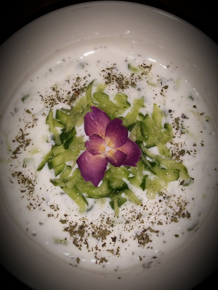yoghurt