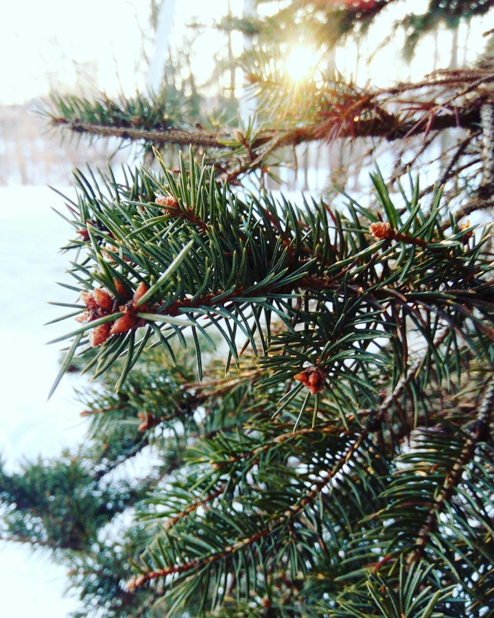 winter