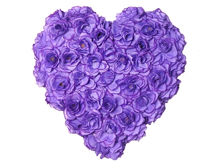 For you - my dear Followers