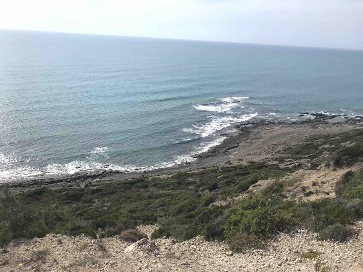 Windy sea