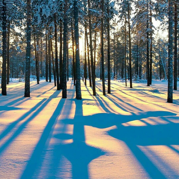 winter