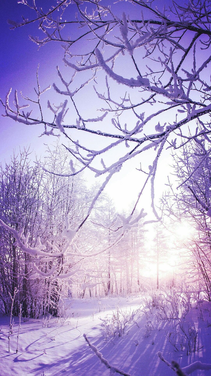 winterlandschaft