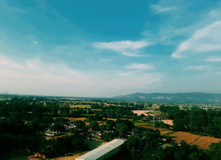 Landscape