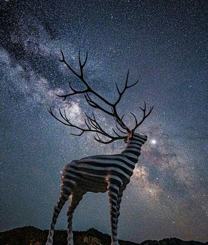 stone deer