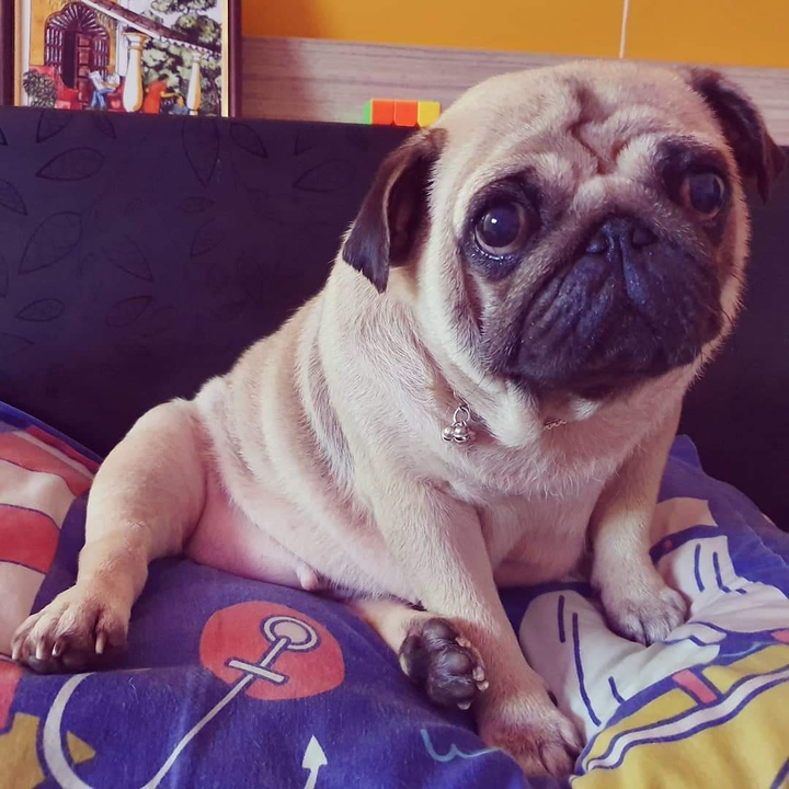 https://www.instagram.com/p/B3pL-wUDdFw/?igshid=qx130ji6y8iq