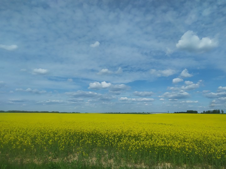 Беларусь