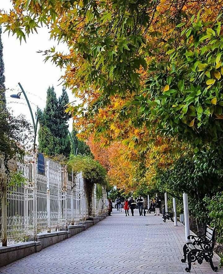 the way to my...