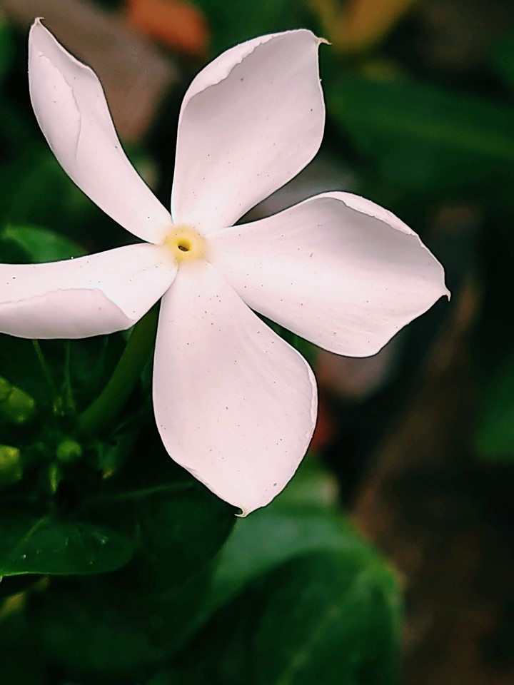 Nature