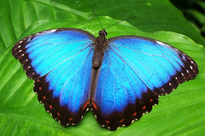 lovely...