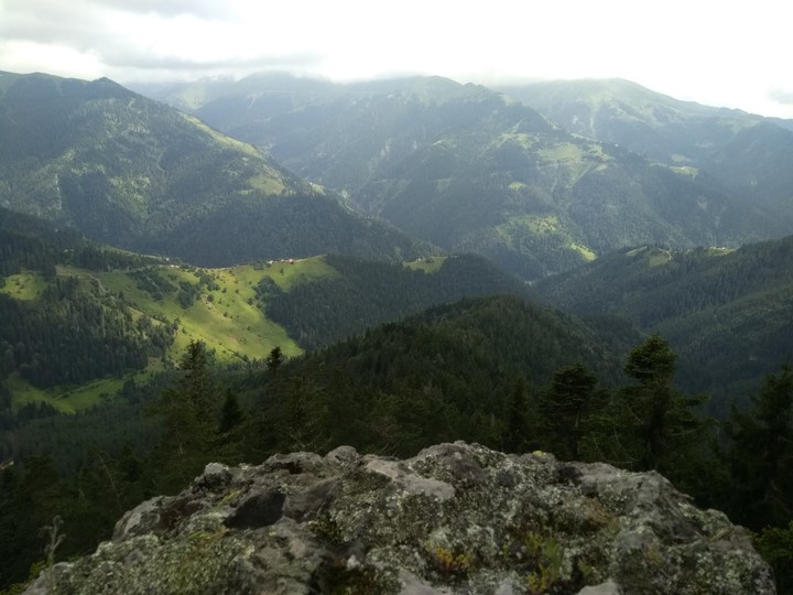 Uzak