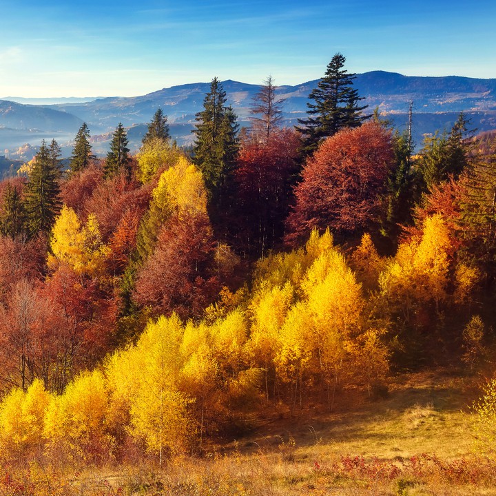 fall