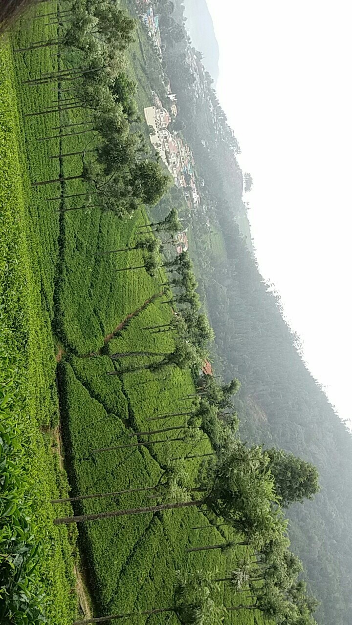 Land