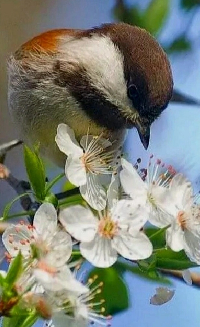 .