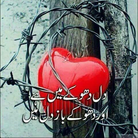 seed,,,,,,