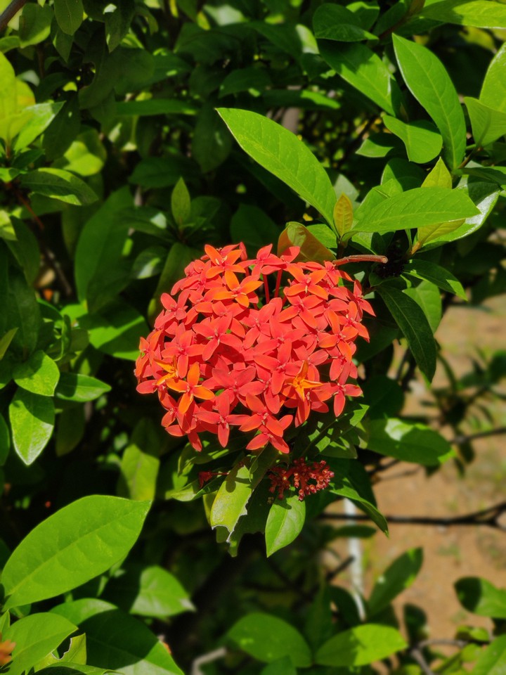 beautiful ?