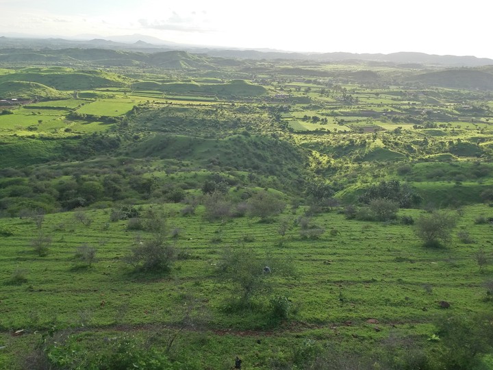 Heavenly Hills