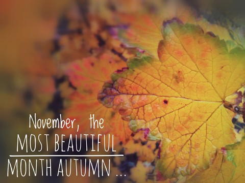 autumn