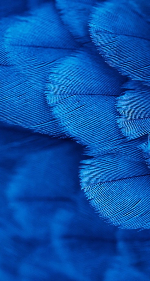 тапети pattern, blue