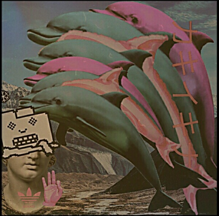 A BREAKING DOLPHINS