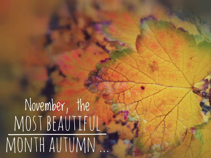 autumn