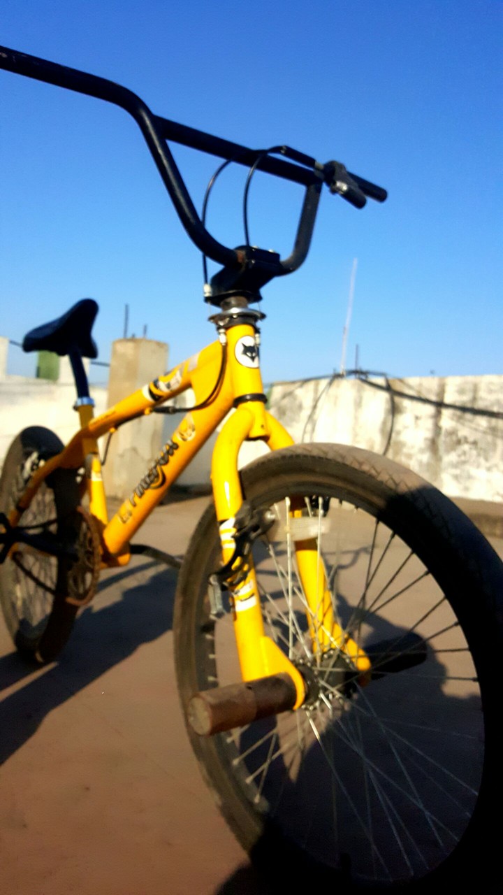 Bmx