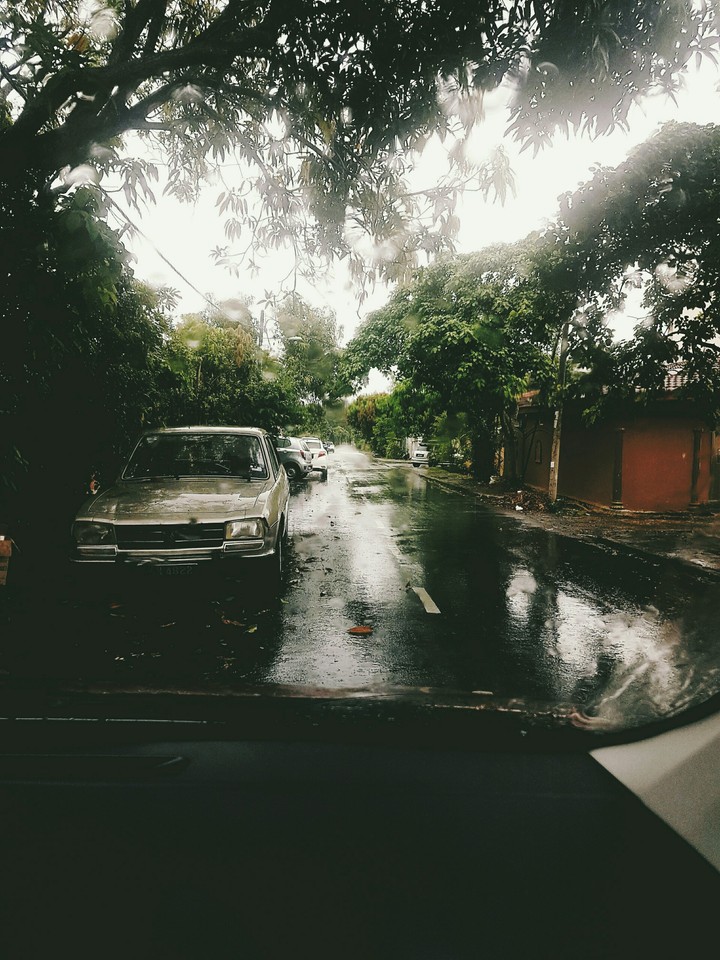 tears of rain