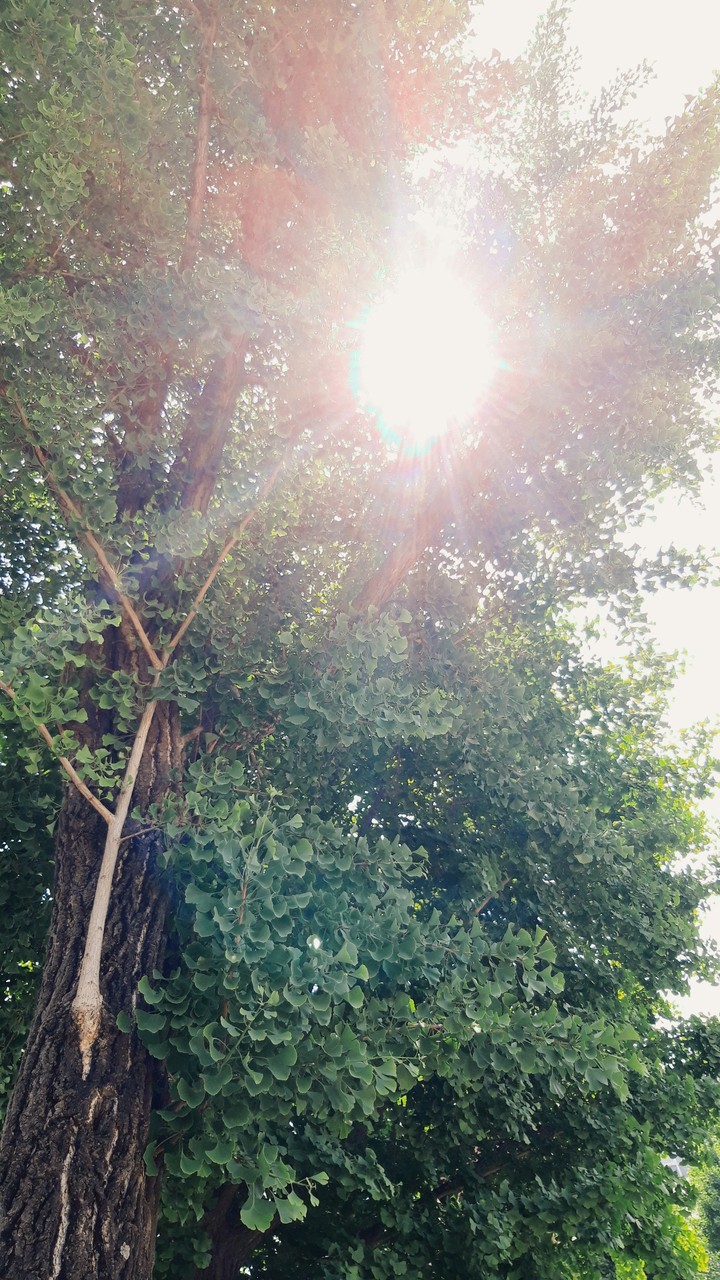 light