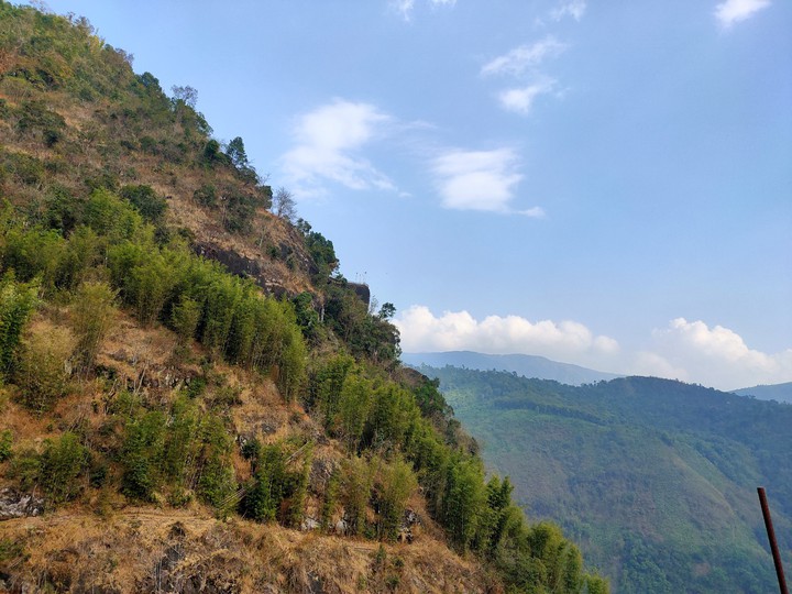 Nature