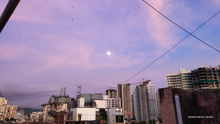 the sky is purple