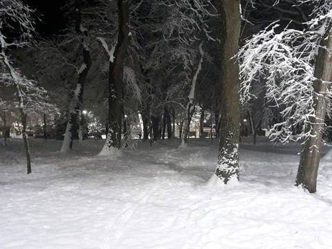 шпалери weather, blizzard