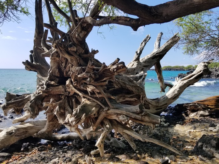 Beach 69 Hawaii