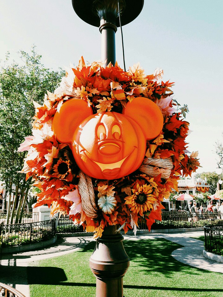 Disney in Fall