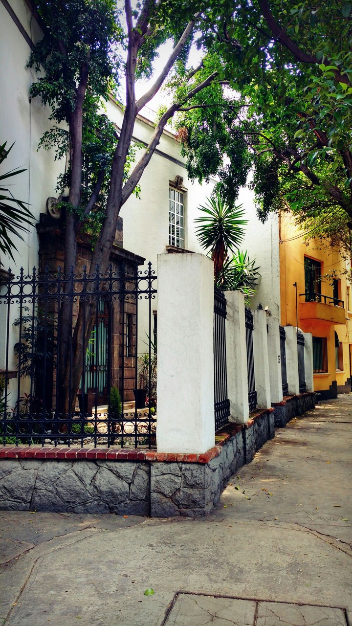 El Color de la Condesa