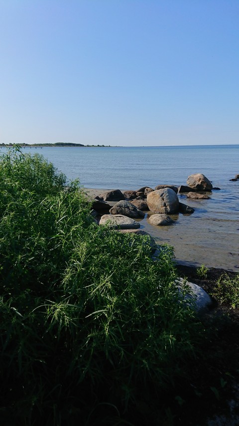 Morning walk Stones in the sea, Hällevik Sweden