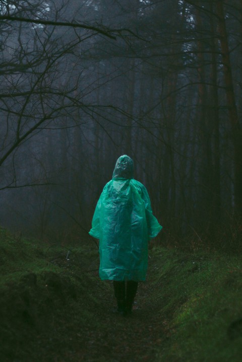 Forest and me