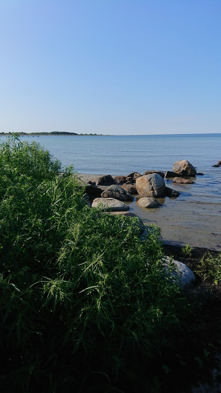 Morning walk Stones in the sea, Hällevik Sweden