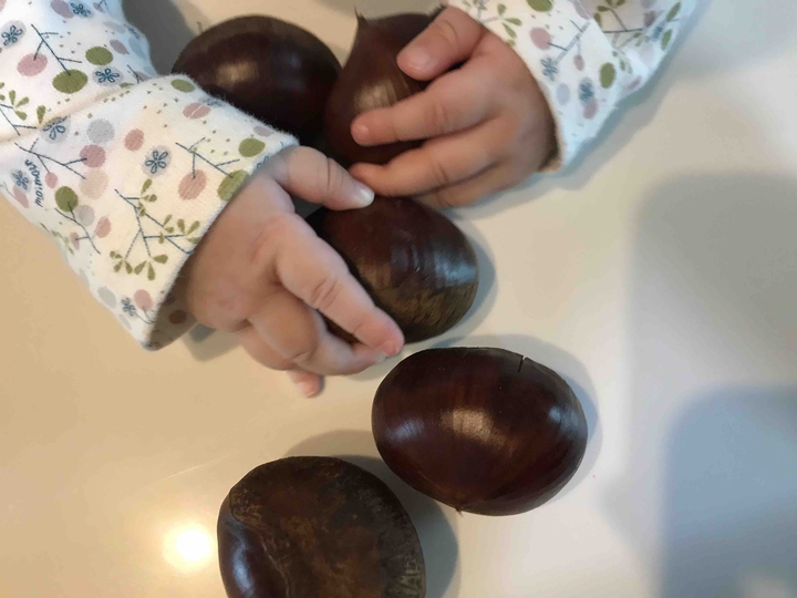 chestnut ?