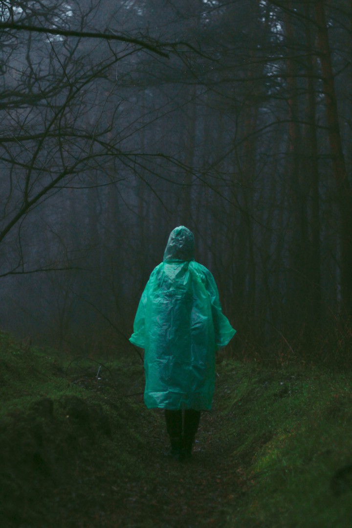Forest and me
