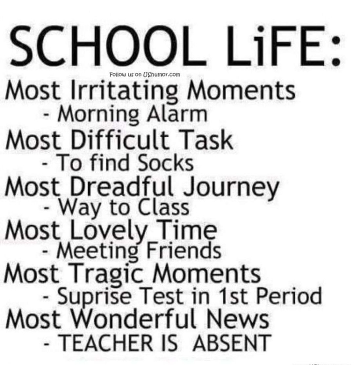 School Life