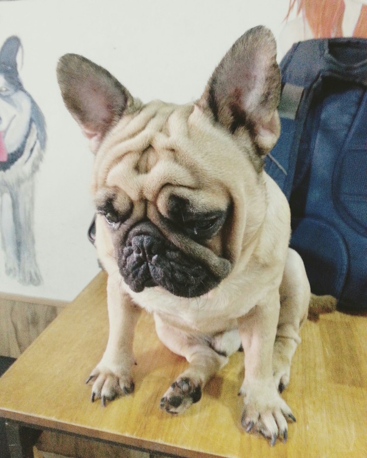 cute