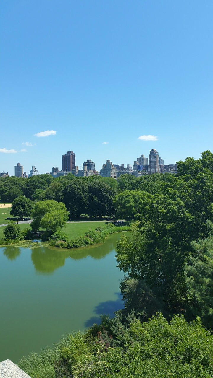 Central Park NYC
